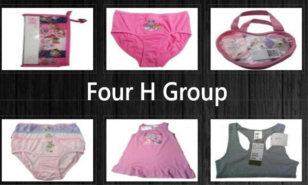 Four H Group